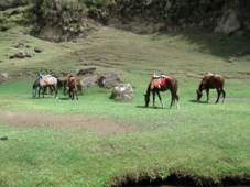 Addis Abeba 4